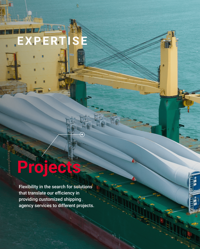 Shipping Agency - Lachmann Group